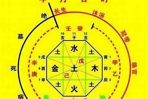 五行 喜|八字喜用神在线查询器,五行喜什么查询免费